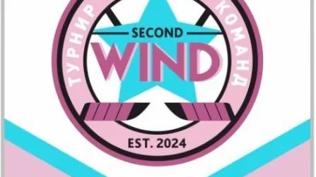 Межрегиональный турнир по хоккею среди женщин пройдет в Домодедове