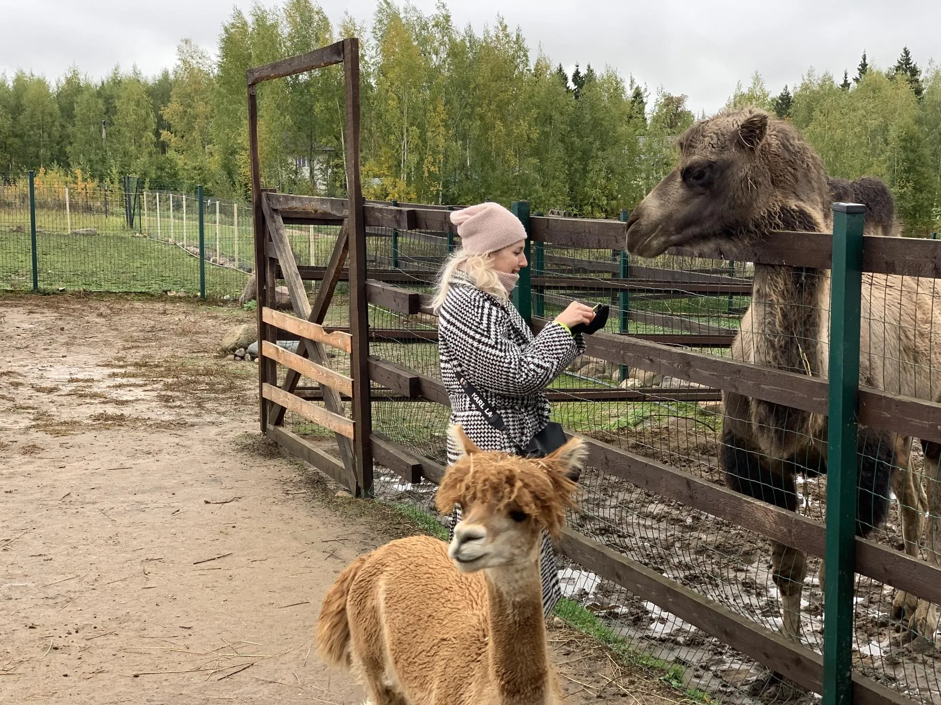 Антонина Матвеева