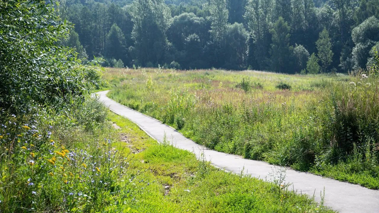 В Ленинском округе в 2025 году обустроят 21 пешеходную дорожку