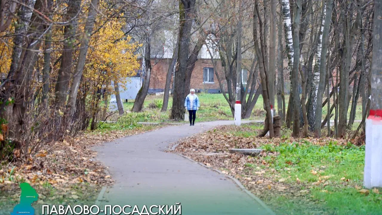 Планы подготовки к зимнему периоду обозначили на объезде Павлово-Посадского округа