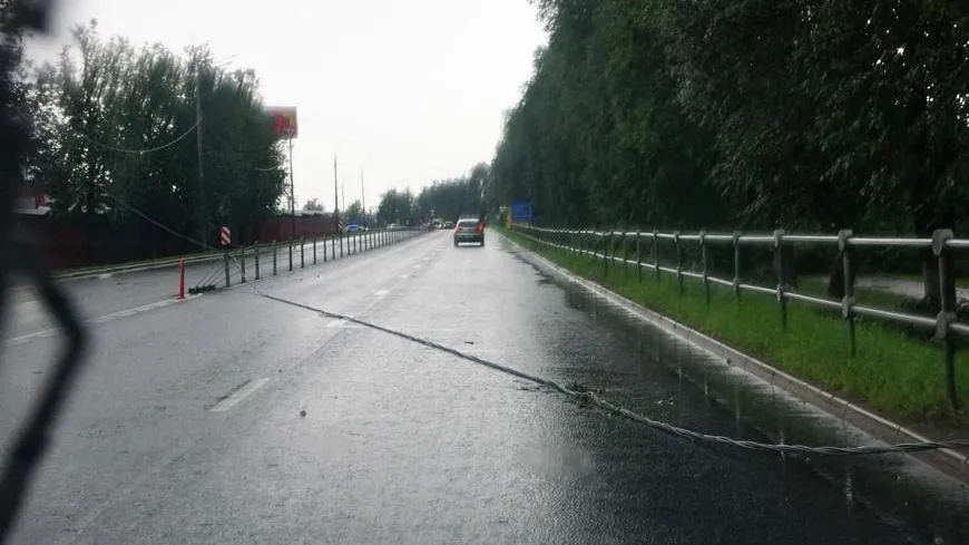 Упавшее из‑за ветра дерево оборвало провод на Симферопольской улице Подольска