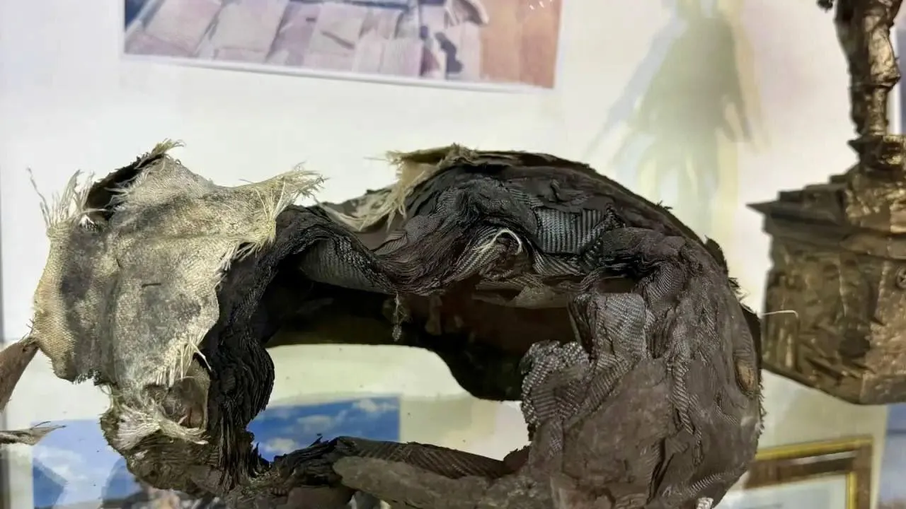 В Наро-Фоминском округе открыли экспозицию о героях СВО