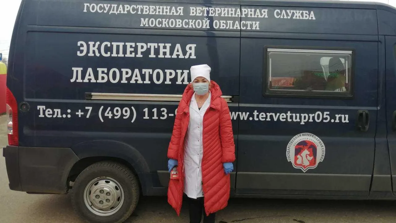 Около 4,5 млн тонн продукции животноводства проверили в Подмосковье с начала года