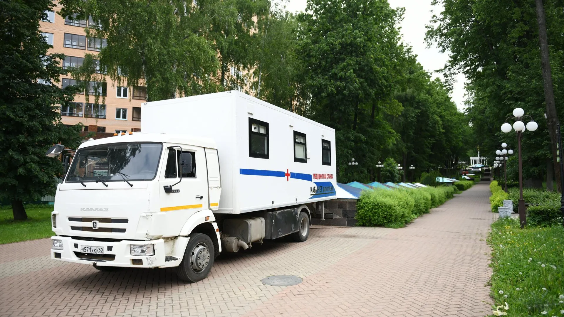 Жители Подмосковья смогут проверить свое здоровье в парках на предстоящих выходных