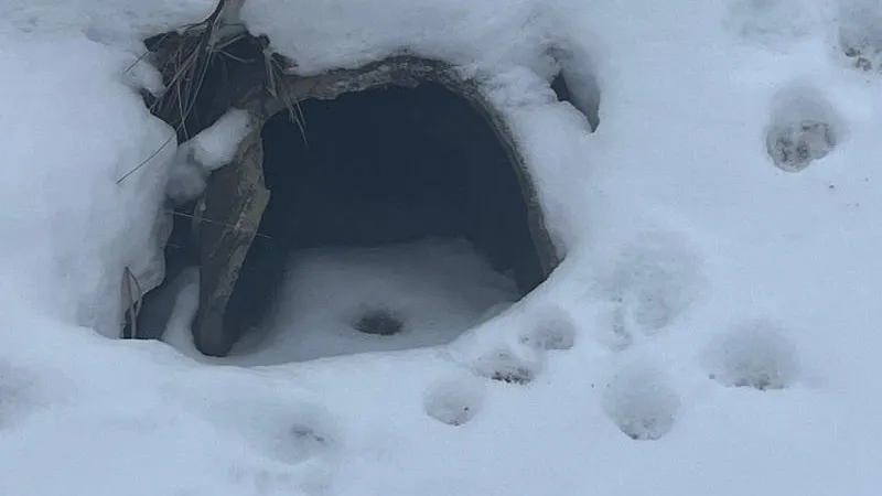 Нарушение водоохранного законодательства выявили в округе Красногорск