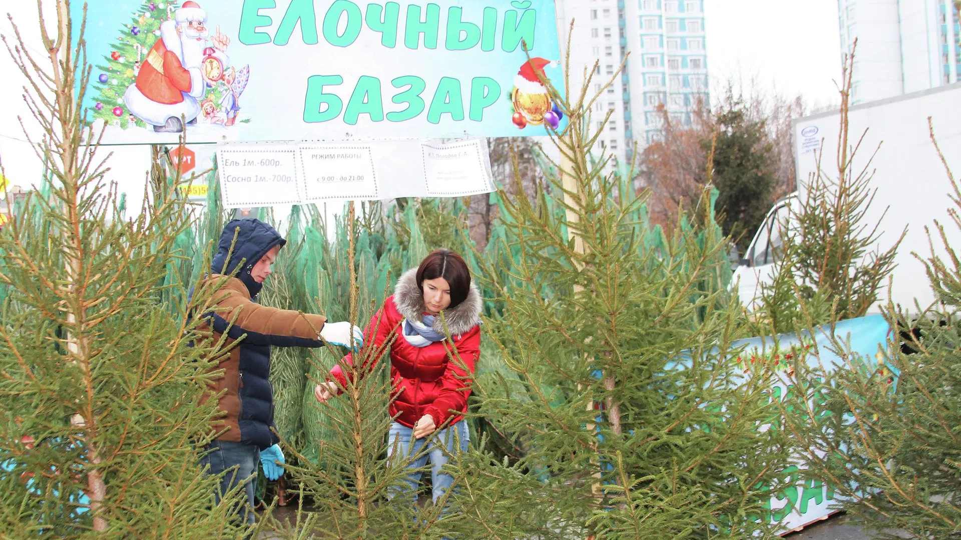 10 елочных базаров откроются в Королеве 1 декабря