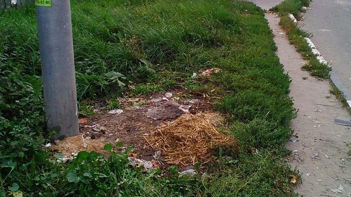 Территорию возле остановки на Пригородной улице Балашихи привели в порядок