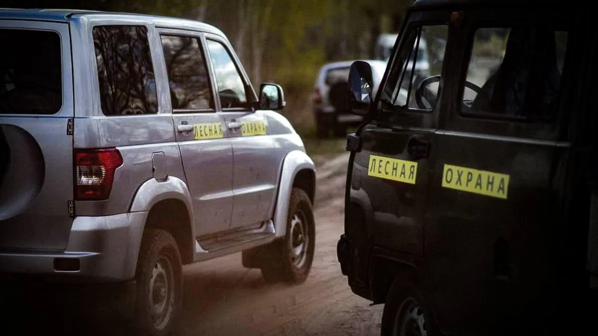 В Подмосковье усилили борьбу с правонарушениями на территории лесного фонда