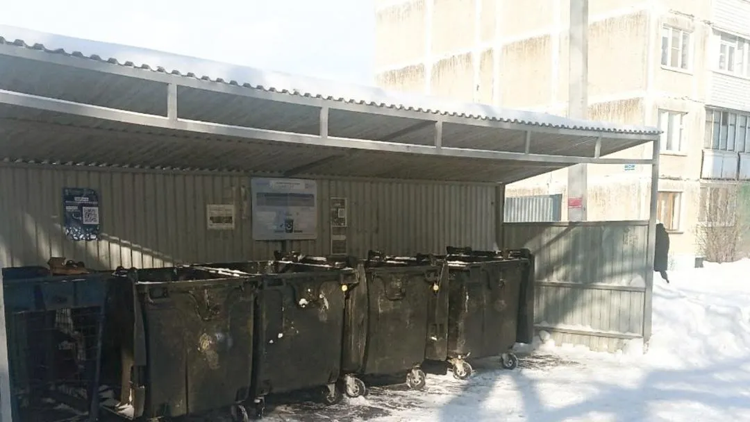 В Подмосковье за неделю установили более 80 новых контейнеров