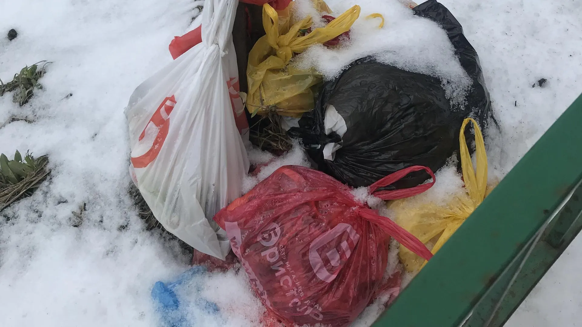 УК Подольска призвала делать замечания жителям, бросающим мусор во дворах