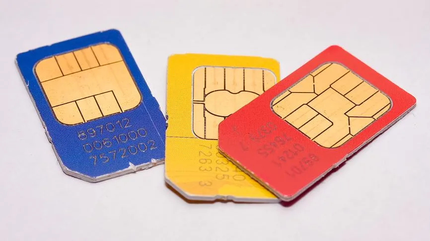 Литвяк Игорь / Фотобанк Лори