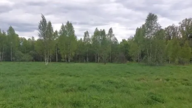 Стал известен топ-округов Подмосковья по объектам на торгах за неделю