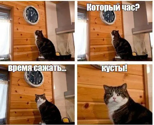 Пресс-служба ГУСТ Подмосковья