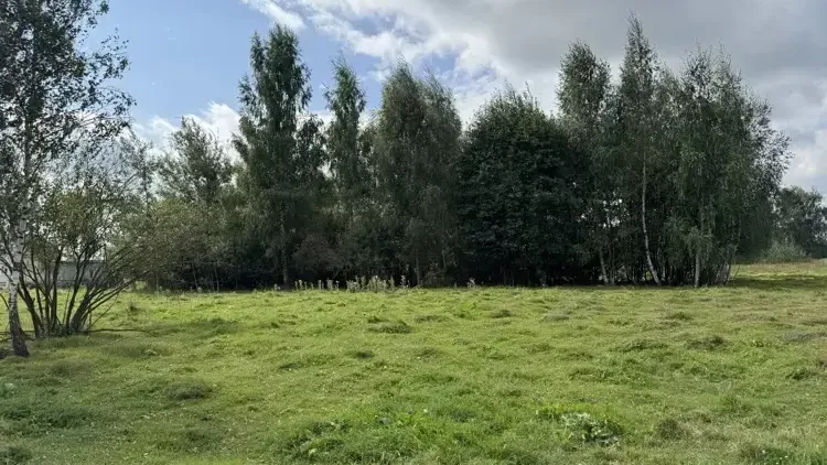 Участок на торгах в Подмосковье