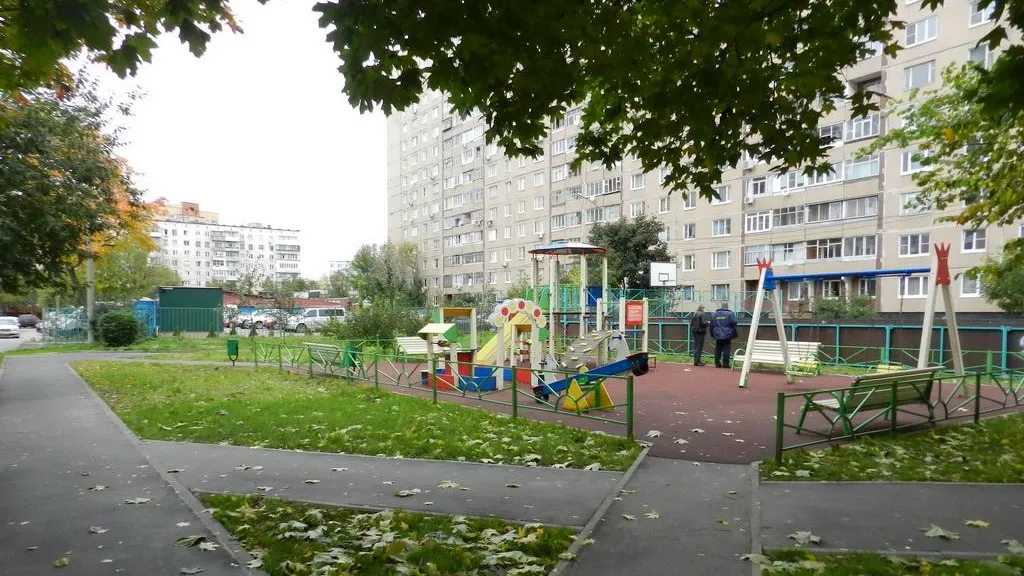 В Подмосковье собирают заявки от жителей, которые сами озеленили свои дворы