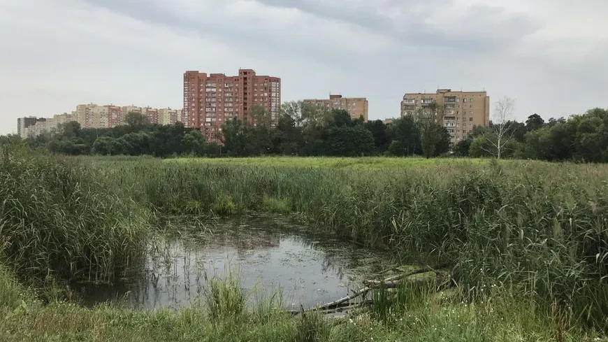 Мониторинг реки Яузы в Мытищах провели с помощью квадрокоптера