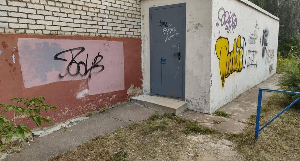 Более 3 тыс вандальных надписей и граффити устранили в Подмосковье с начала лета