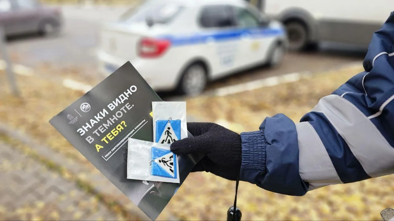 Профилактические рейды мытищинской Госавтоинспекции пройдут в ноябре