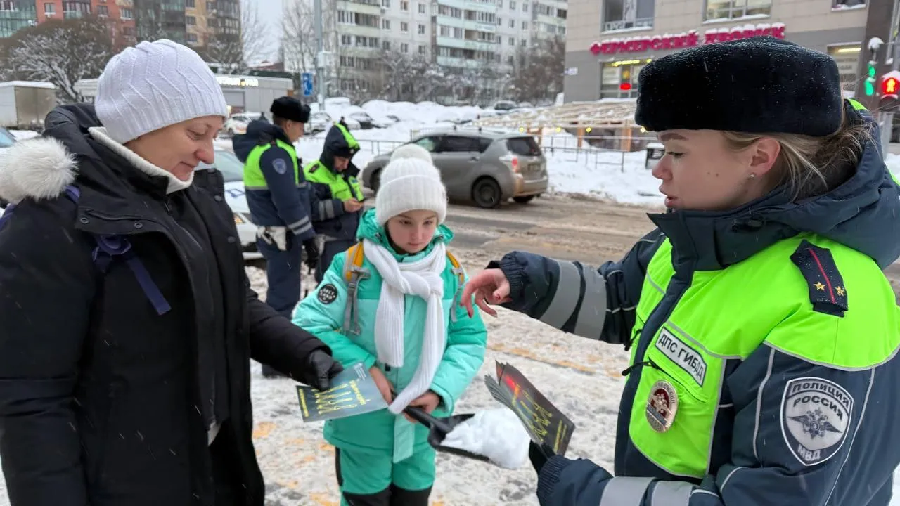 В Одинцовском округе пройдет рейд «Пешеход» со 2 по 8 марта