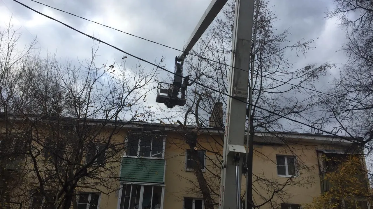 Коммунальщики спилили сухостой на двух улицах в микрорайоне Климовск Подольска