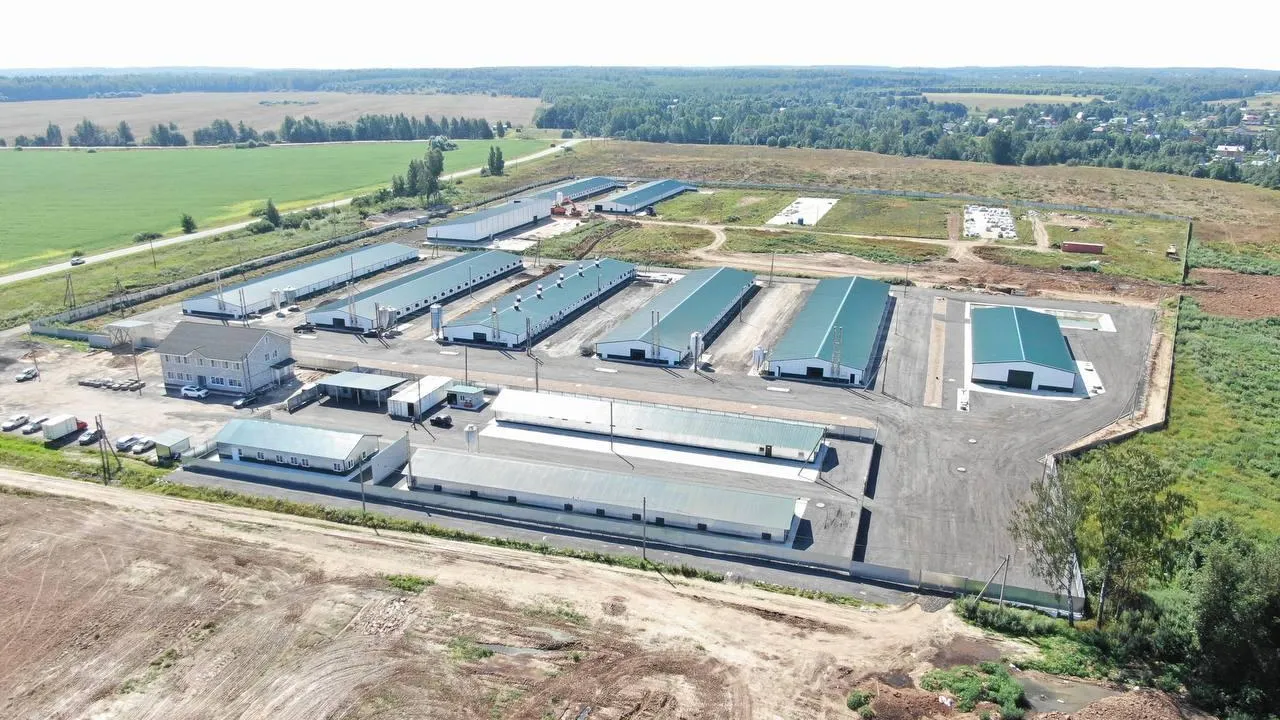 В Подмосковье открыли новый репродуктор яичных пород птицы