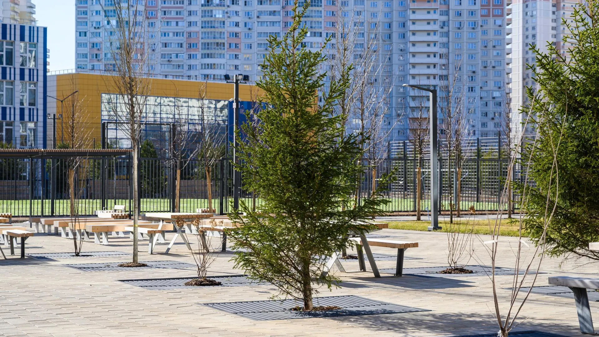 Более 45 соцзначимых закупок опубликовали в Подмосковье за неделю