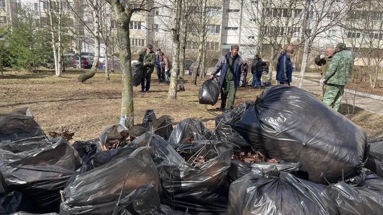 30 округов Подмосковья попали в «зеленую» зону по итогам месяца чистоты и благоустройства