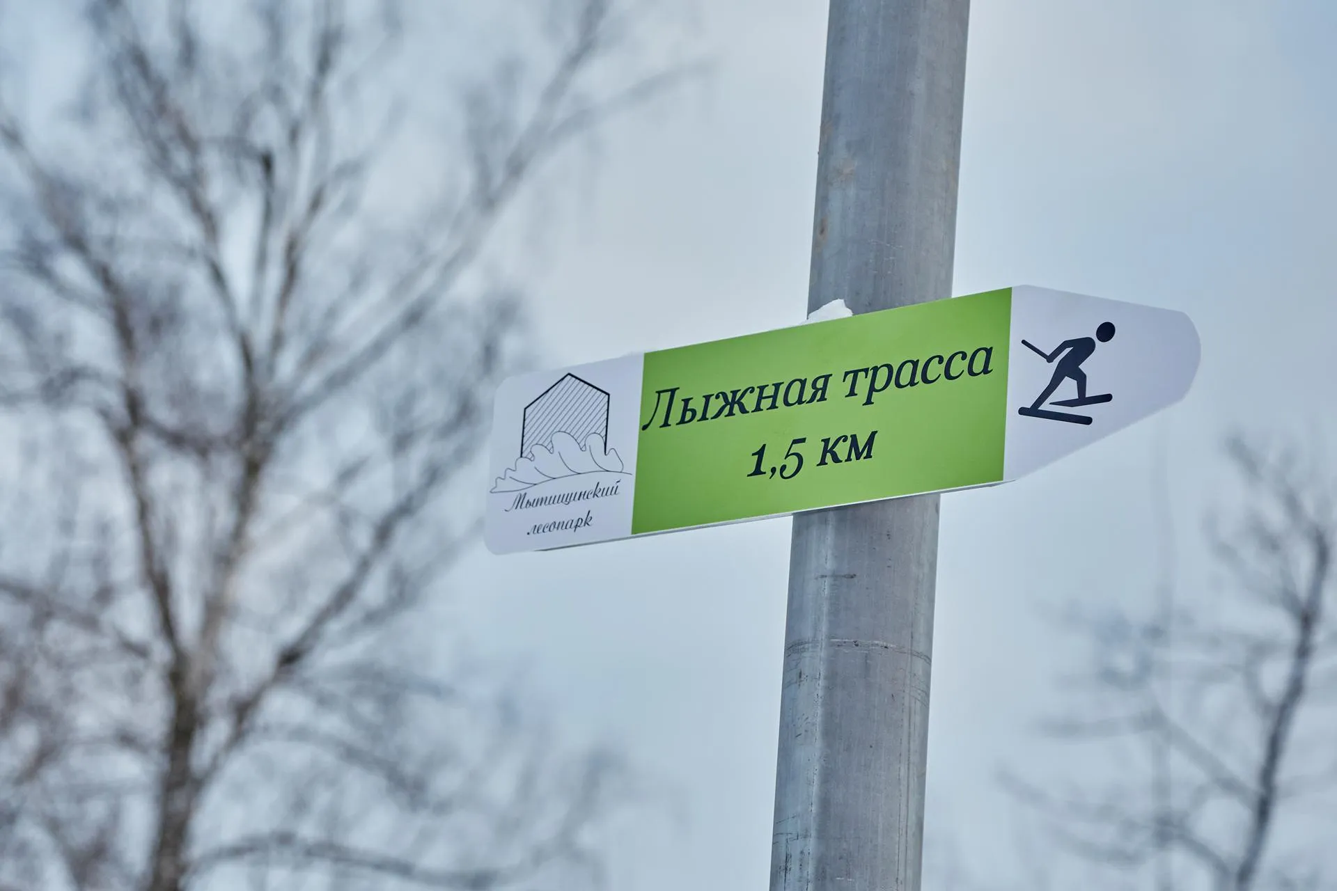 Дмитрий Белицкий