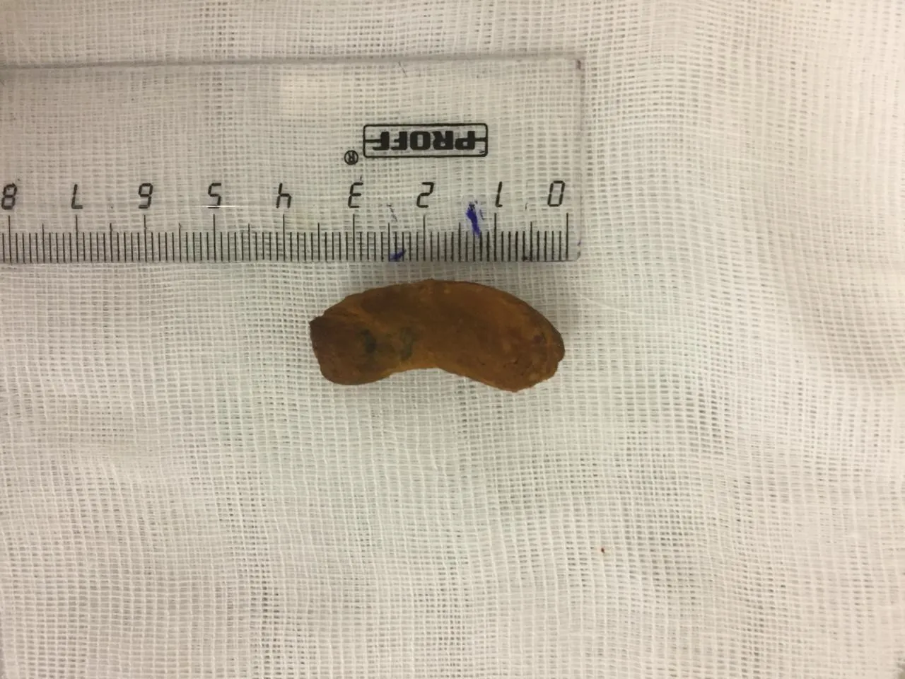 В Красногорская городская больница №1