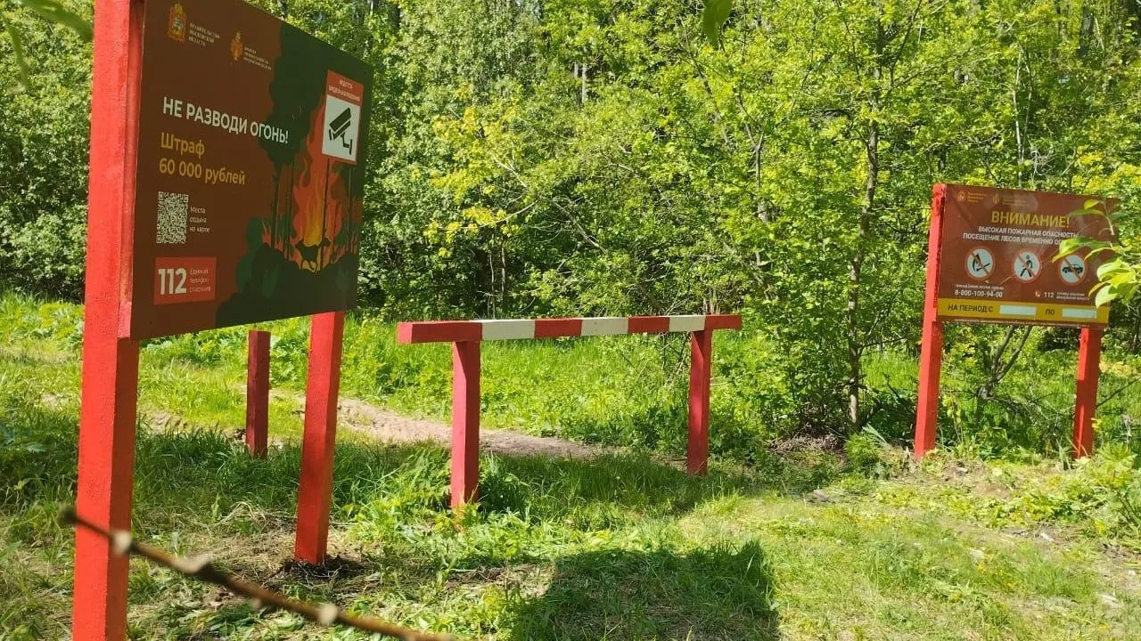 Почти 150 шлагбаумов установили в лесах Подмосковья для обеспечения безопасности