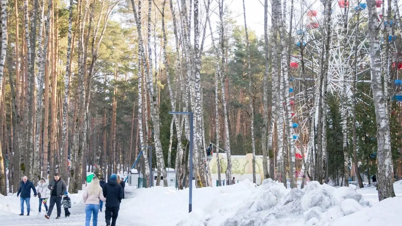 В Домодедове 21 марта проведут массовый забег в лесопарке