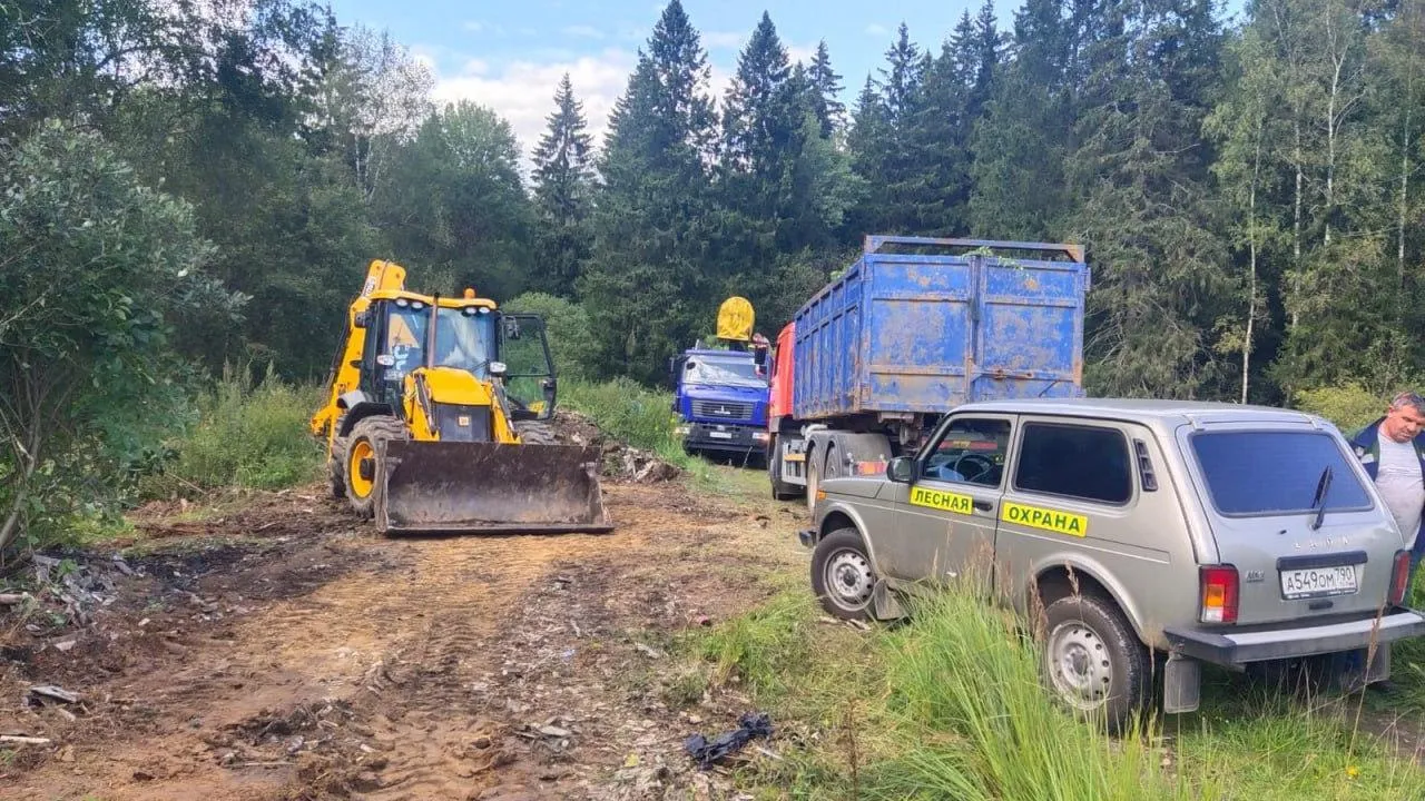 Специалисты ликвидировали навал мусора в лесу Сергиево‑Посадского округа