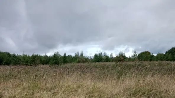 В Шаховской сдали в аренду самый бюджетный участок недели