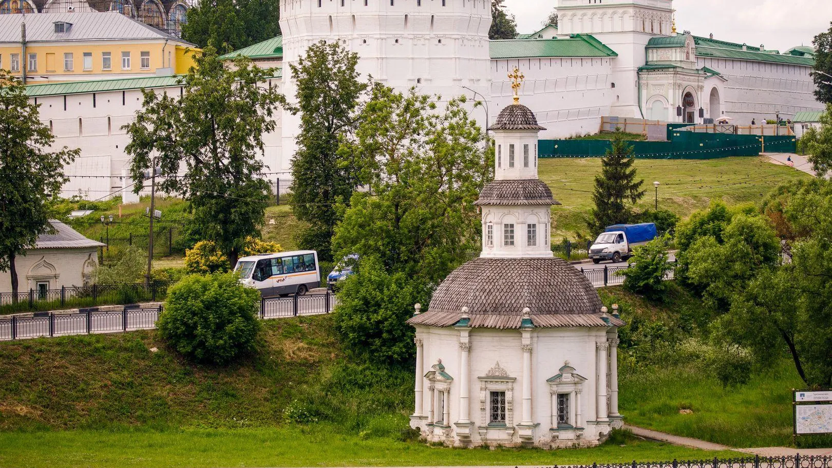 В Подмосковье обнаружили уникальную ботаническую находку