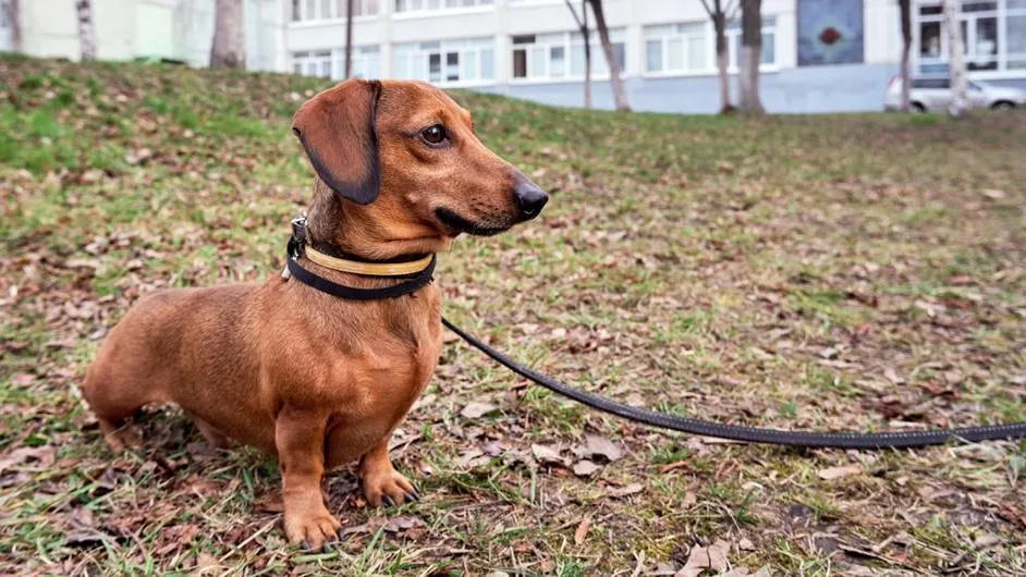 Дмитрий Андреев / Фотобанк Лори