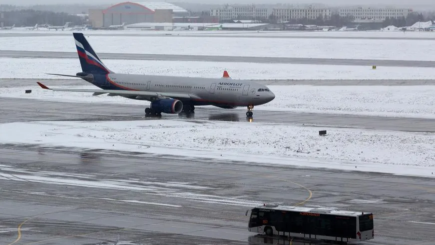 Московские аэропорты принимают и отправляют рейсы, несмотря на сильный снегопад