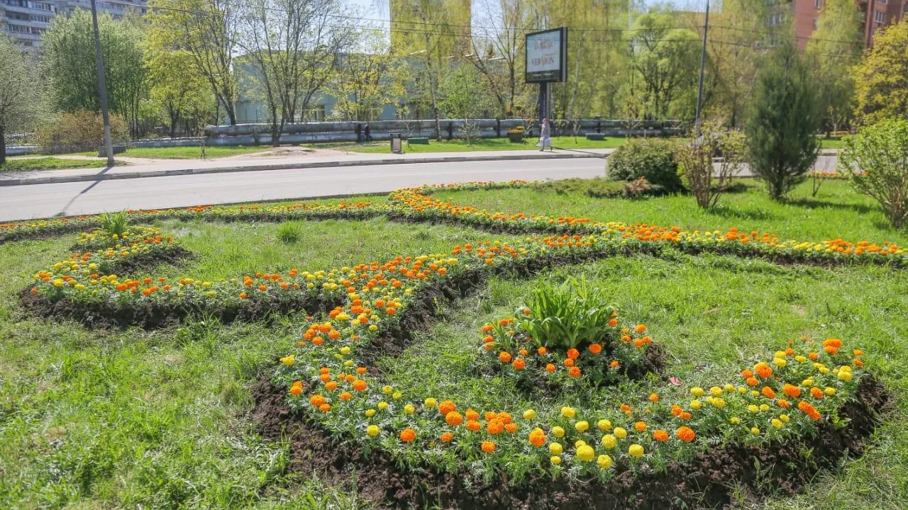 Более 440 тыс цветов будет высажено на улицах Одинцова в 2021 г