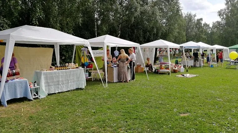 Мастер‑классы и лекции провели в Королеве на семейном фестивале