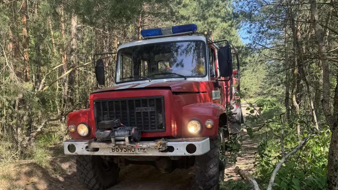 За минувшие сутки в Подмосковье ликвидированы два лесных пожара