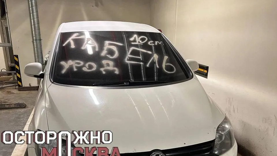 «Козел, урод, 10 см»: во Внукове разрисовали иномарку оскорбительными надписями