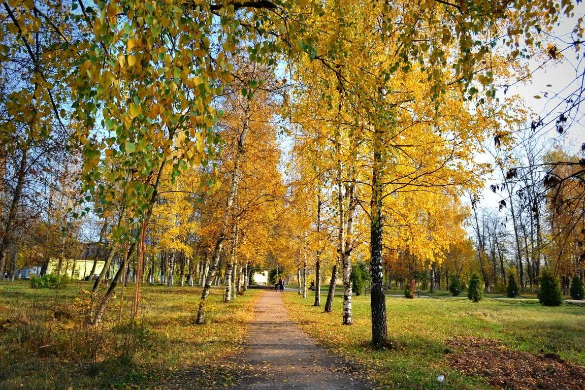 фото из личного архива