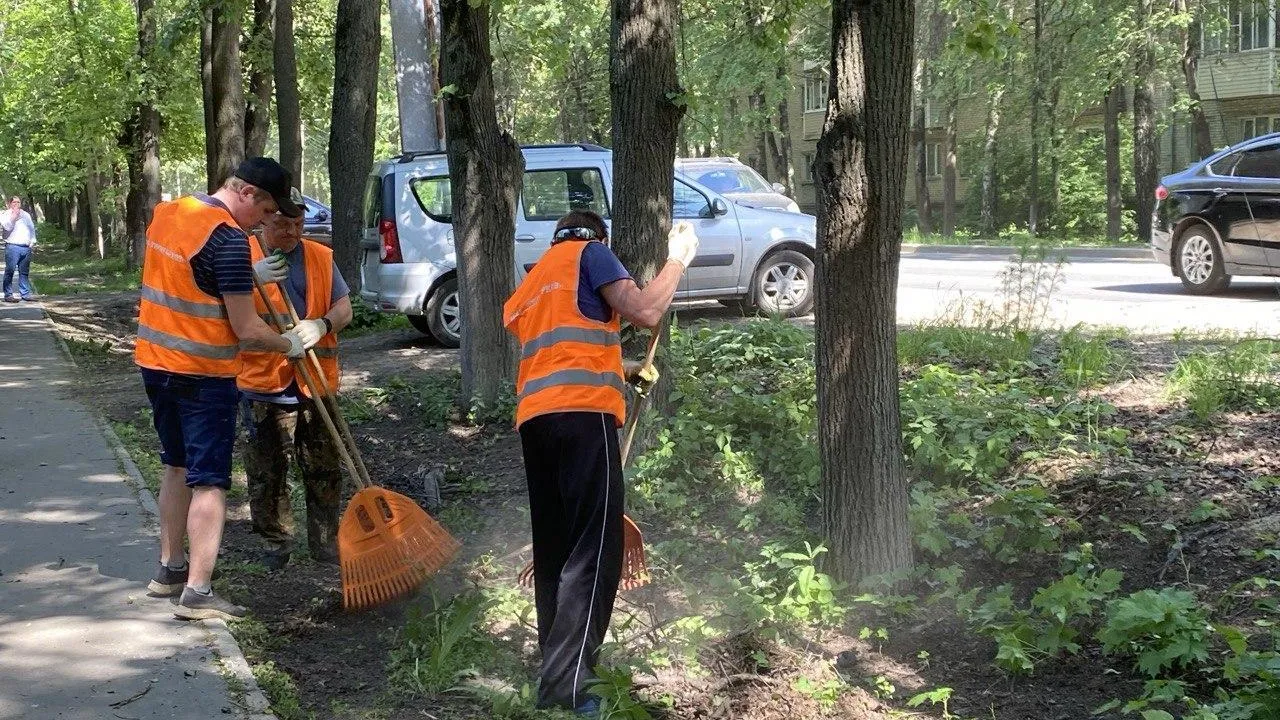 Коммунальщики округа Пушкинский оперативно отрабатывают заявки в «Добродел»