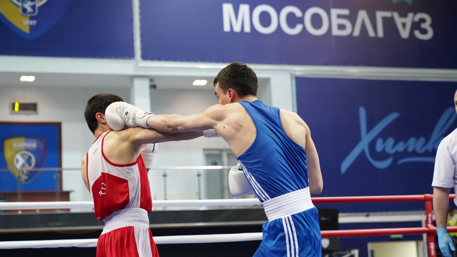 Боксеры Подмосковья победили на чемпионате ЦФО в Химках