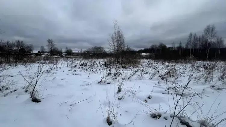 Больше всего лотов выставлено на торги в Дмитровском округе, Истре и Кашире