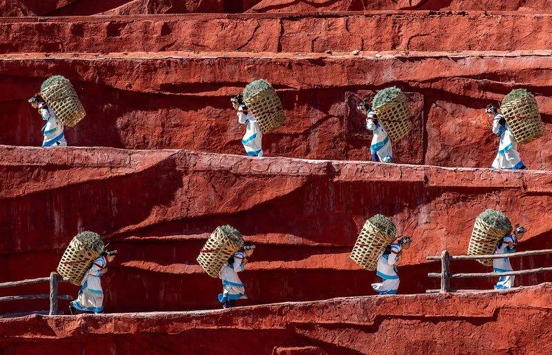 Елизавета Кирина. Шанхай. Сцена сбора чая в шоу Impression Lijiang