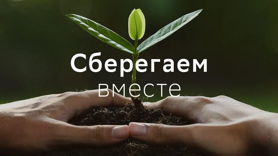 Сбербанк присоединился к экологической акции «Вода России» в Подмосковье