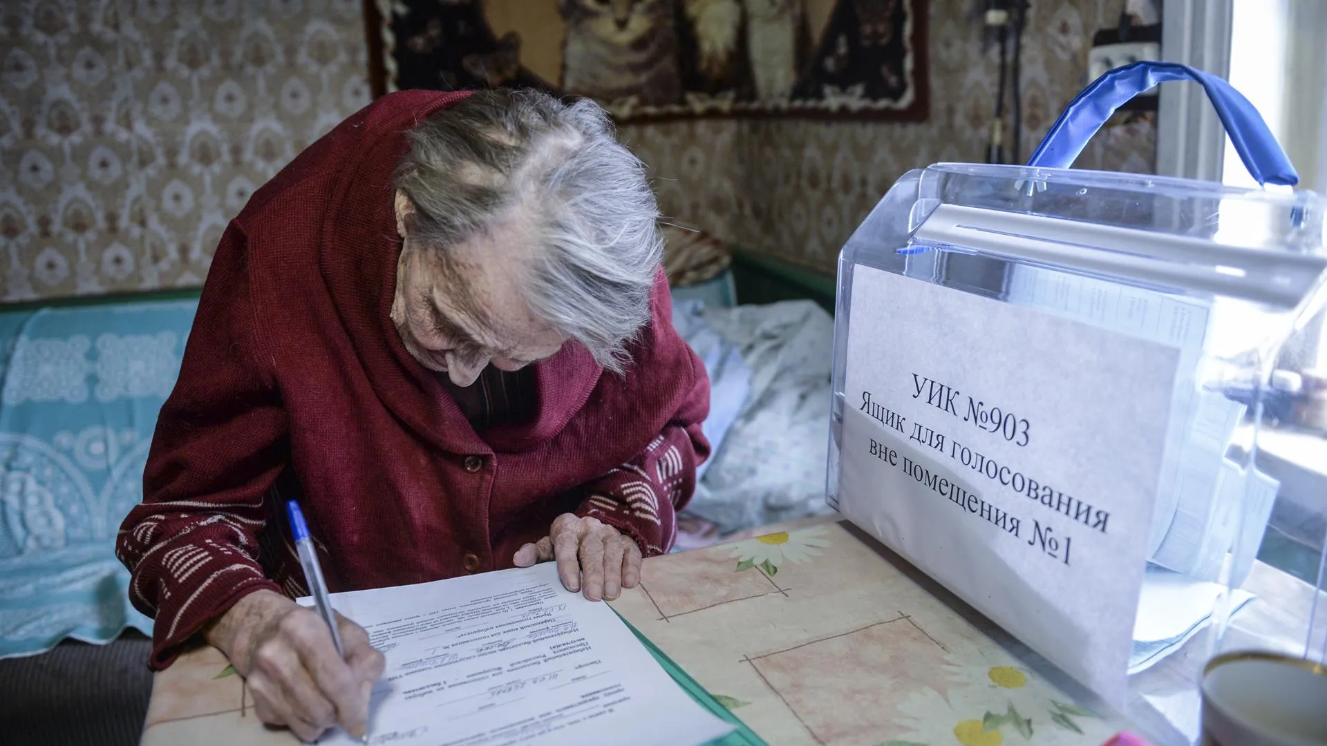 Пожилые жители Мытищ смогли проголосовать по поправкам в Конституцию на дому