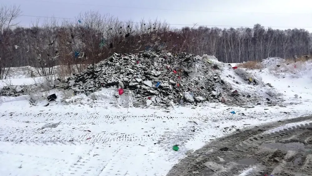 Более 40 незаконных свалок устранили в Люберцах за 11 месяцев