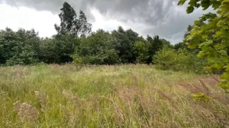 Земельный участок на торгах в г.о.Коломна