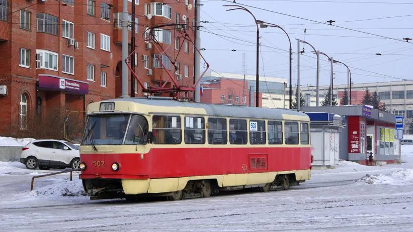 Мужчина потерял полуметровую змею в трамвае в Екатеринбурге